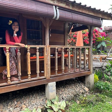 Pinokkio B&B Restaurant ウンガサン エクステリア 写真