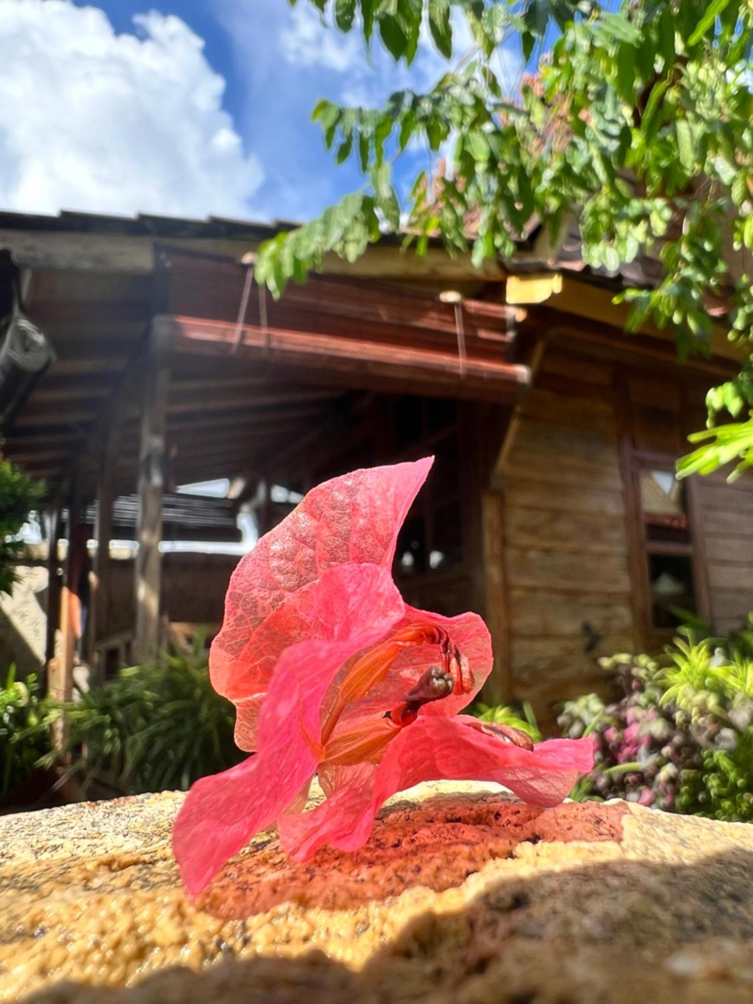 Pinokkio B&B Restaurant ウンガサン エクステリア 写真